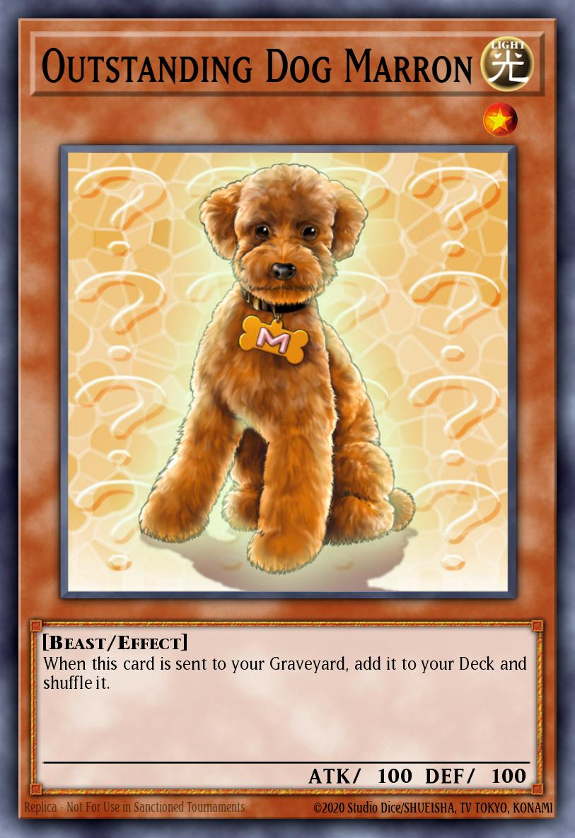 Card image of: Outstanding Dog Marron