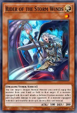 A single card from the set named: Rider of the Storm Winds