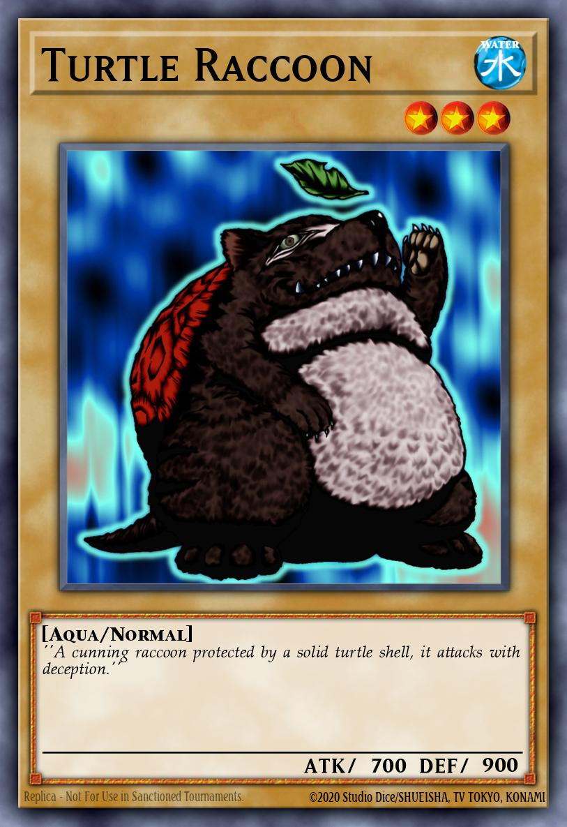 Slika karte: Turtle Raccoon