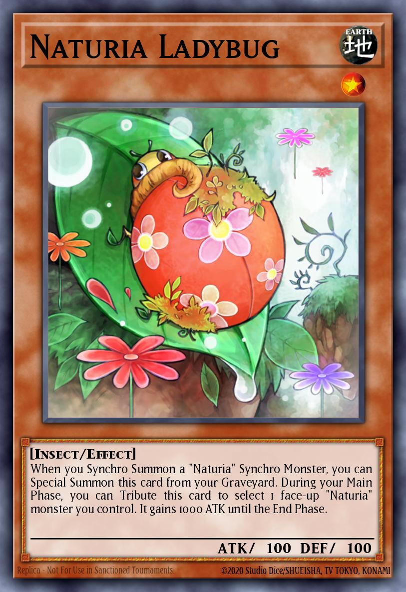 Slika karte: Naturia Ladybug