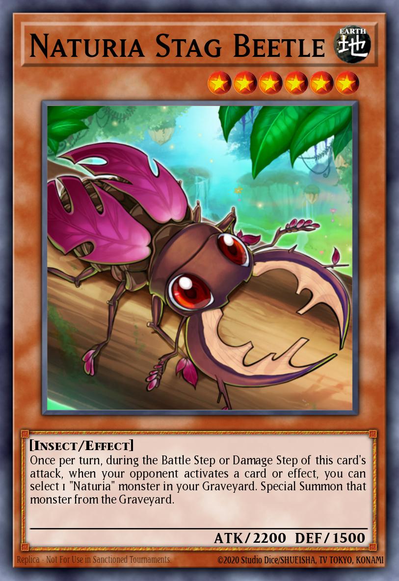 Slika karte: Naturia Stag Beetle