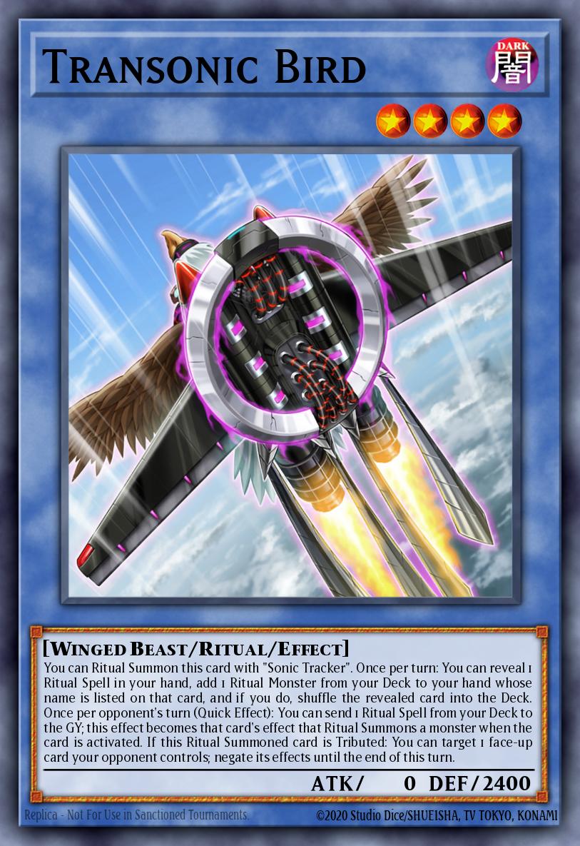 Slika karte: Transonic Bird
