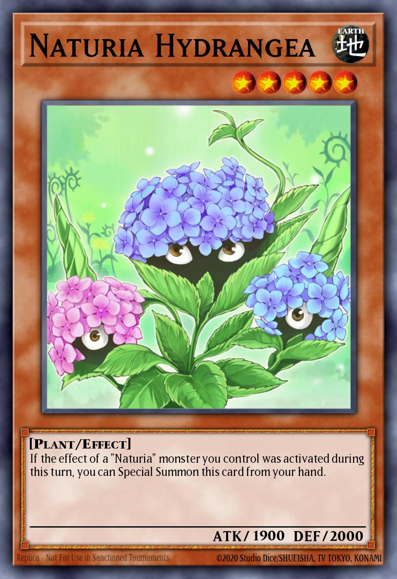 Slika karte: Naturia Hydrangea