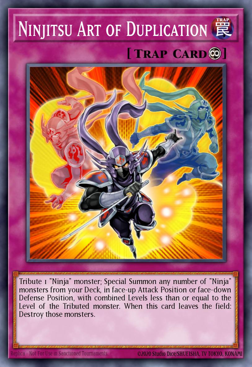 Slika karte: Ninjitsu Art of Duplication