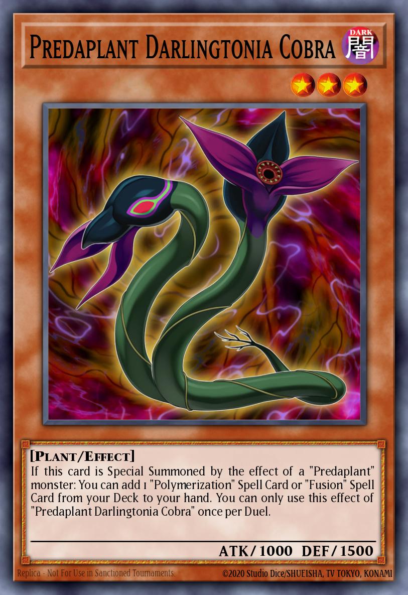 Slika karte: Predaplant Darlingtonia Cobra