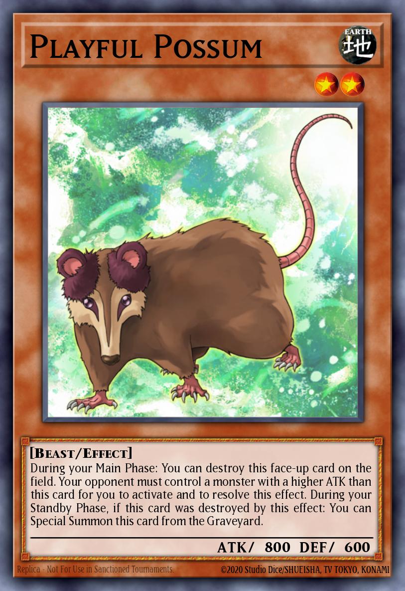 Slika karte: Playful Possum