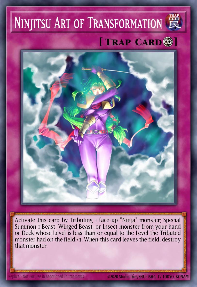 Slika karte: Ninjitsu Art of Transformation