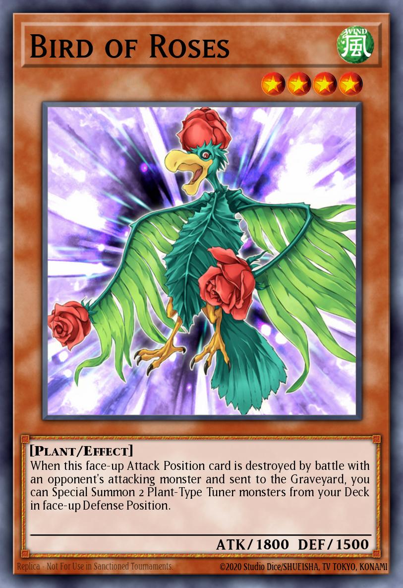 Slika karte: Bird of Roses