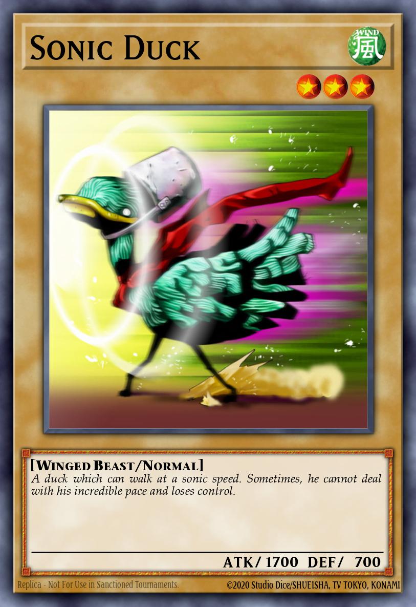 Slika karte: Sonic Duck