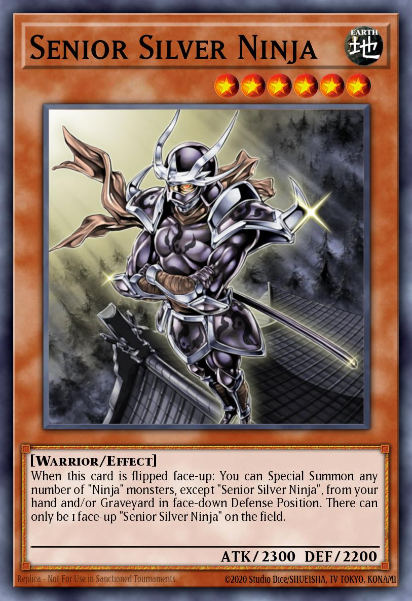Slika karte: Senior Silver Ninja