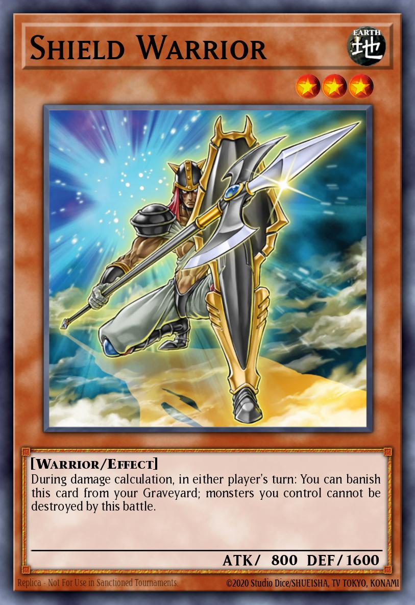 Slika karte: Shield Warrior