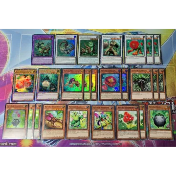 Naturia Deck - slika proizvoda pod brojem: 1